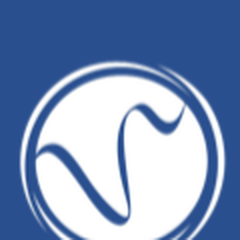 Vistula University logo